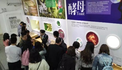 走进青岛互联网工业——青啤
