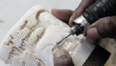 象牙加工銷售準(zhǔn)入名單公布 多家上市公司在列