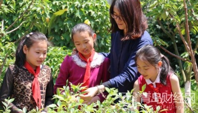 青岛南仲小学：满园春色关不住 盈盈绿意乘风来