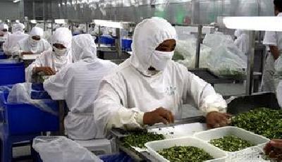 山東兩農企40億貸款陷危機 11家銀行向政府求救