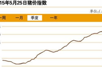 5月豬股伴豬價齊“飛” 可能助推CPI上漲