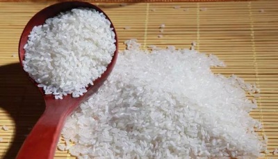 五常大米摻假亂象 市面90%五常大米都是假的