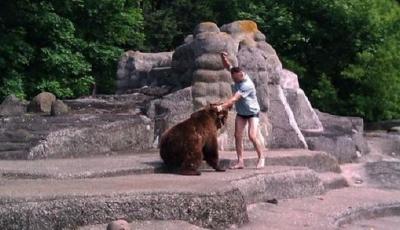 男子闖熊山暴打母熊逃生 動物園：正常人干不出這事兒