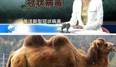 MERS疫情激活醫藥板塊 基金關注板塊配置價值