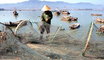 6月1日起黃渤海開始伏季休漁 海鮮價格漲兩成