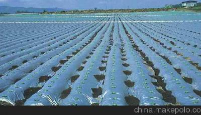 三歲男童捅破地膜 伯父劈斷侄兒小腿至其身亡