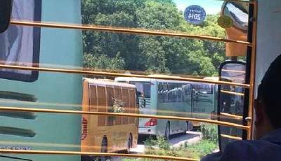 上海野生動物園多輛觀光車被困猛獸區(qū)1小時