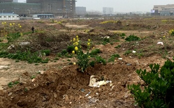 中交集團斥資近6億拿下即墨核心位置4宗地塊