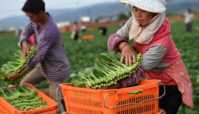 山東農業水價改革實施方案 農業用水將推行階梯水價