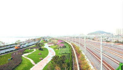 膠州灣謀變國際生態灣區 劃定3600公頃保護區