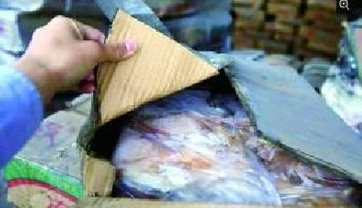 10萬余噸走私凍肉進入我國 “肉齡”長達40年