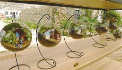 即墨創客:三個依托獨特區域產業優勢創業的故事