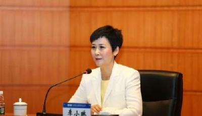 媒體稱李小琳本周將正式赴任大唐集團副總經(jīng)理