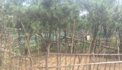 公園變成了"菜園子" 萬科藍山業主維權不知該找誰