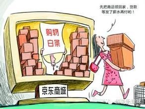 打“白條”不還 京東起訴用戶