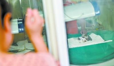 女童患怪病體無完膚 養父母與生父母“違約”見面