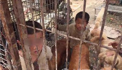 南京“與狗同吃住孩子” 被送到愛(ài)心人士家中