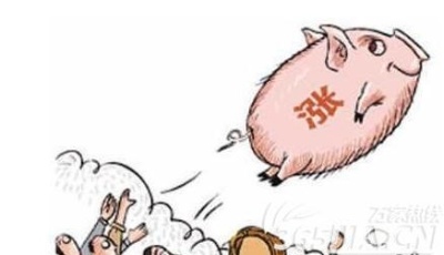 豬價4個月漲幅近三成 或制約貨幣政策空間