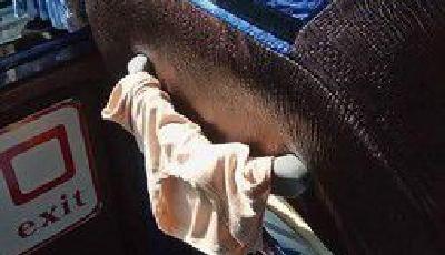 真驚了！大陸游客自備晾衣繩夾游覽車上曬內衣