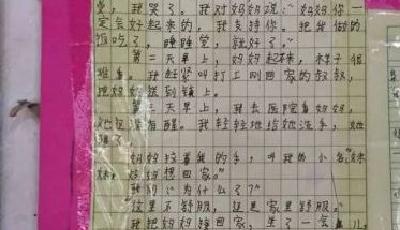 最悲傷作文被指并非作者原文 支教老師稱只是整理過