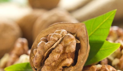 薯條漢堡吃多了讓你又胖又傻！健腦食品有哪些？