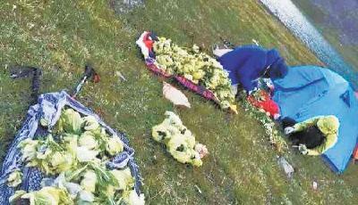 驢友在新疆天山非法采摘雪蓮惹眾怒 警方已介入