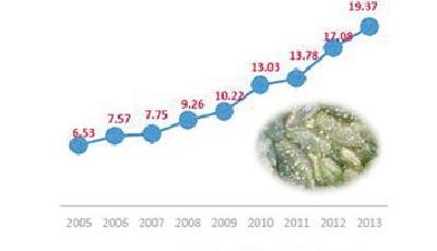 刺參遺傳密碼在青破譯 為選育新品種提供支撐