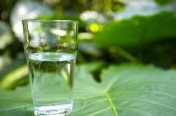 從喝水習慣一眼就能看出你的體質