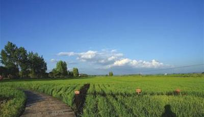 青島北緯春秋農業科技：讓更多人吃到放心糧食 