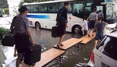 上海暴雨機場變“汪洋” 空姐走“T臺”上班