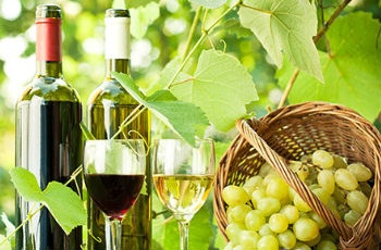 初秋葡萄大量上市 葡萄食養(yǎng)有宜忌