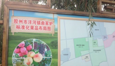 青島（洋河）首屆鄉(xiāng)村慢生活體驗(yàn)節(jié)下周啟幕