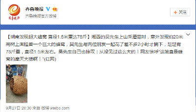 湖南發現超大蜂窩 網友驚呼：蜂窩的摩天大樓！