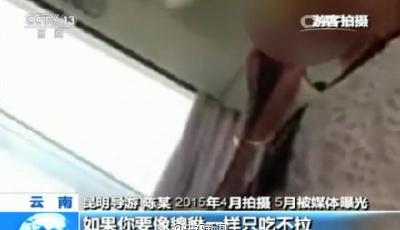 云南導游罵游客不購物:你像貔貅只吃不拉(圖)