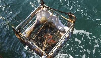 致遠艦啟動水下發掘 疑似鄧世昌私人印章出水(圖)