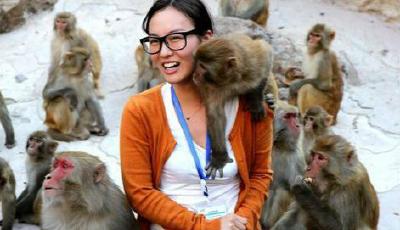 河南景區內"流氓"野猴跳女游客胸前"騷擾"