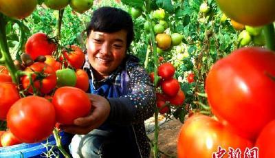 統計局談經濟運行亮點：居民收入增速跑贏GDP