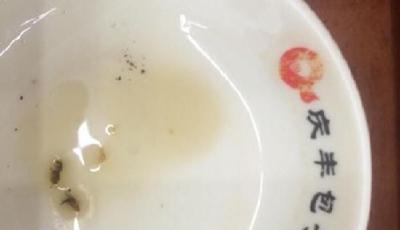 曝北京慶豐包子鋪包子吃出蟑螂 醋里吃出膩蟲