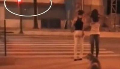 汪星人等綠燈兩女孩闖紅燈 網友對比狗和人