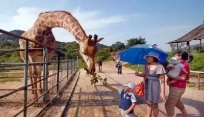 【西海岸景点】青岛森林野生动物世界