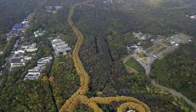 南京美齡宮現(xiàn)“最美項(xiàng)鏈”景觀 刷爆朋友圈