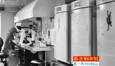 "全面二孩"即將實施 冷凍胚胎咨詢電話被打爆