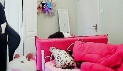 女主播直播睡覺 王思聰賞七萬幫其清空購物車