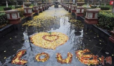 西安一小區保潔員用落葉作畫 被稱“最美保潔員”