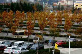 青島十三五停車規(guī)劃年底完成 每年增1萬個(gè)泊位