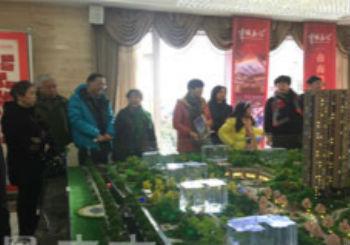 政策利好促成交量上涨 市民置业坦言