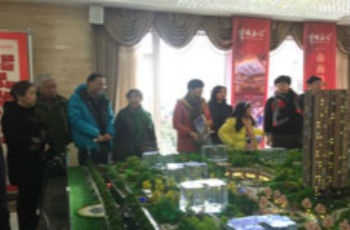 政策利好促成交量上漲 市民置業(yè)坦言"早買早安心"