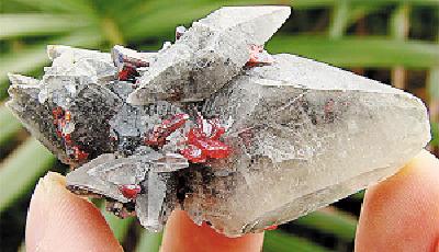 83歲教授用砒霜治白血病 曾治好母親皮膚癌