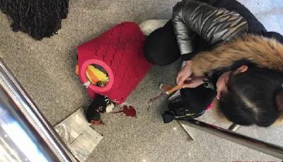 四川女子帶活鴨過安檢被拒 現場提刀宰殺(圖)