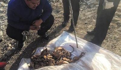 北京山洞發現2具人體遺骸 疑為8年前走失驢友